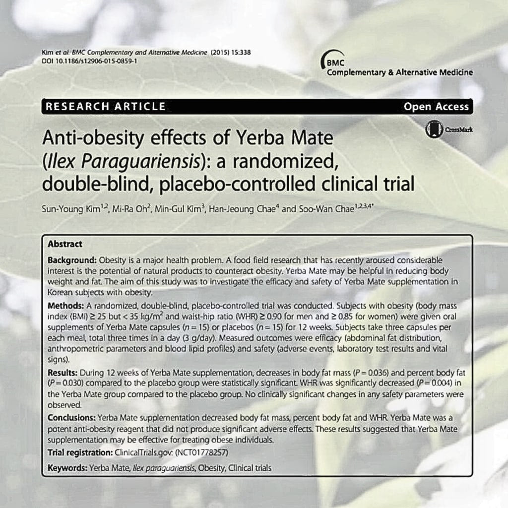 Yerba Magic® – Boost Your Energy, Sharpen Your Focus, and Beat the Bloat