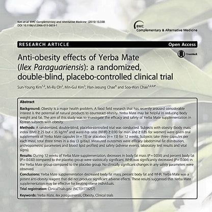 Yerba Magic® – Boost Your Energy, Sharpen Your Focus, and Beat the Bloat
